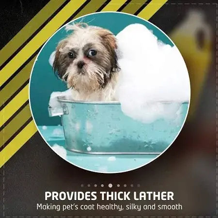 shopping (4) - Ryan Panicker.webp