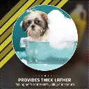 shopping (4) - Ryan Panicker.webp