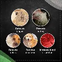 71xCPf4FFgL._SX679_ - Ryan Panicker.webp