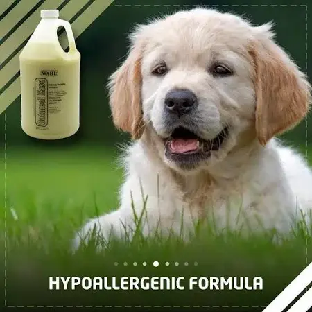 shopping (2) - Ryan Panicker.webp