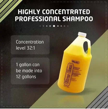 shopping (1) - Ryan Panicker (1).webp