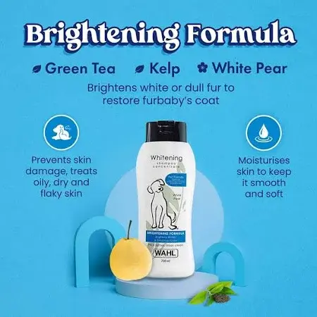 shopping (9) - Ryan Panicker.webp