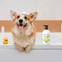 ShedControlShampoo_6 - Ryan Panicker.webp