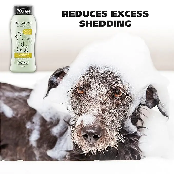 81n3PE8FgQL._SX679_ - Ryan Panicker (1).webp