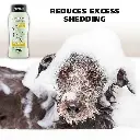 81n3PE8FgQL._SX679_ - Ryan Panicker (1).webp