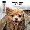 81kRO9T7BML._SX679_ - Ryan Panicker (1).webp