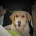 614OTWEYjgL._SX679_ - Ryan Panicker.webp